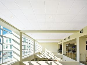 plafond acoustique bureau (4)